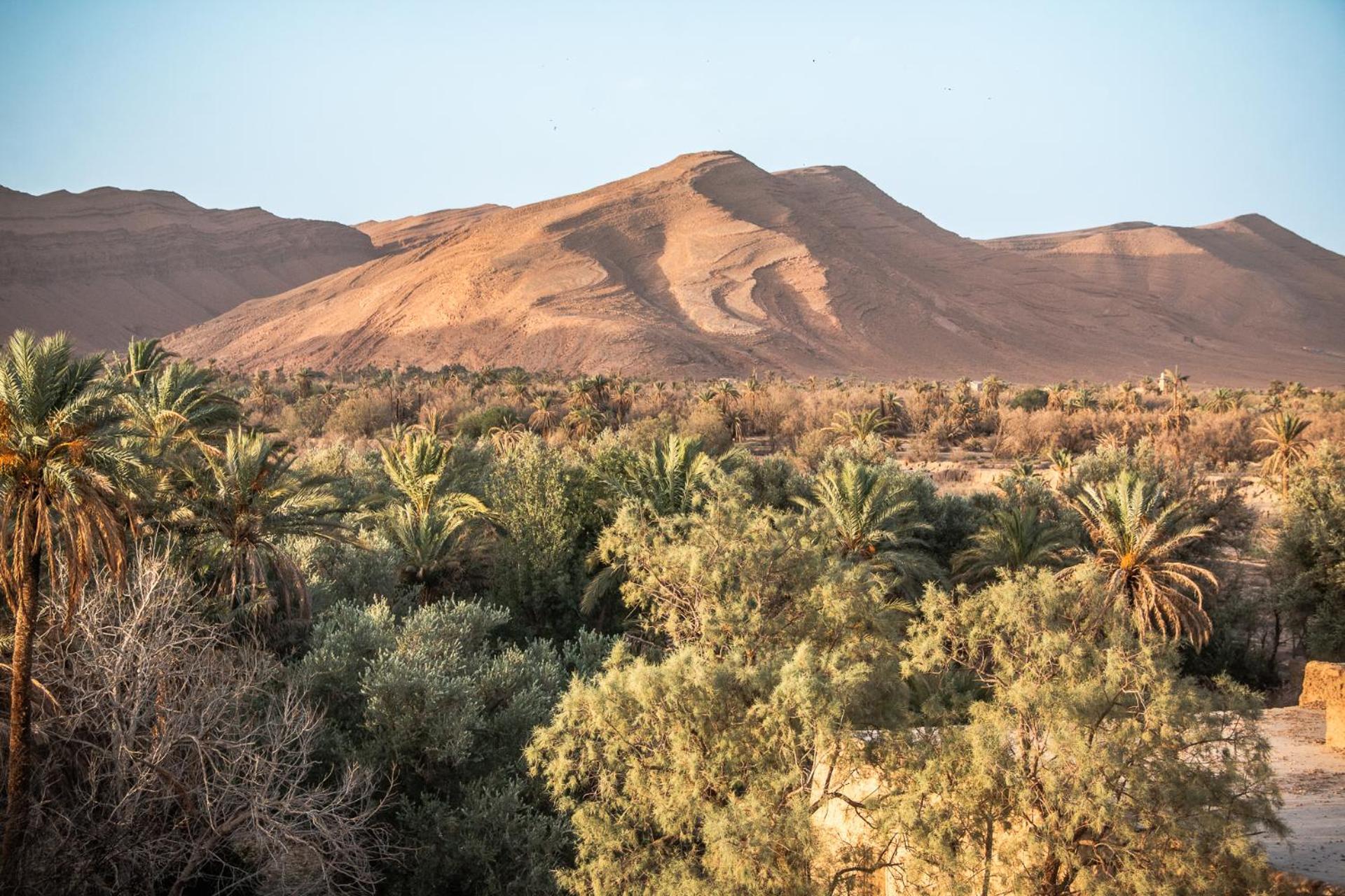 Oasis Travel Bed & Breakfast Tazouka Exterior foto