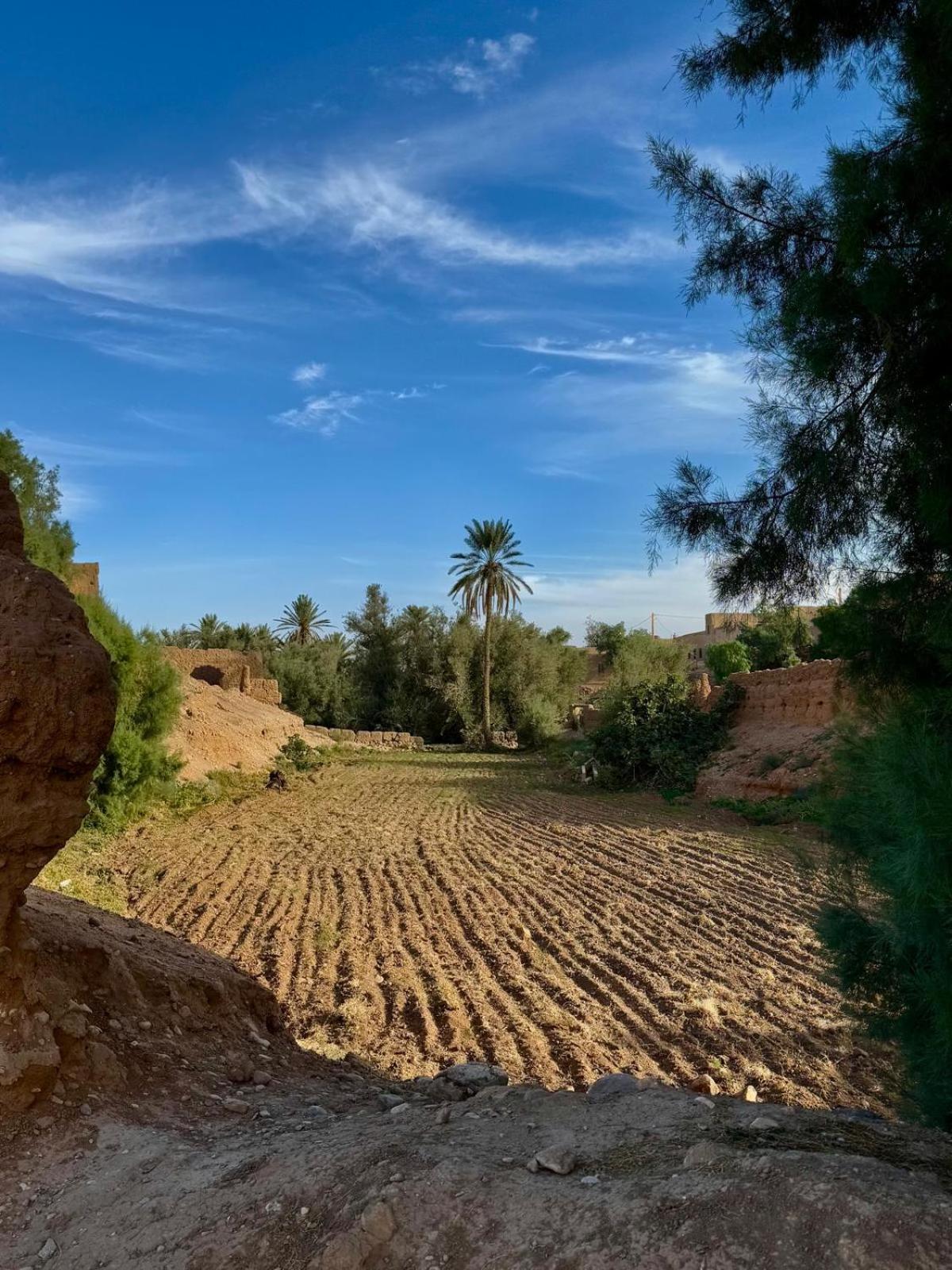 Oasis Travel Bed & Breakfast Tazouka Exterior foto